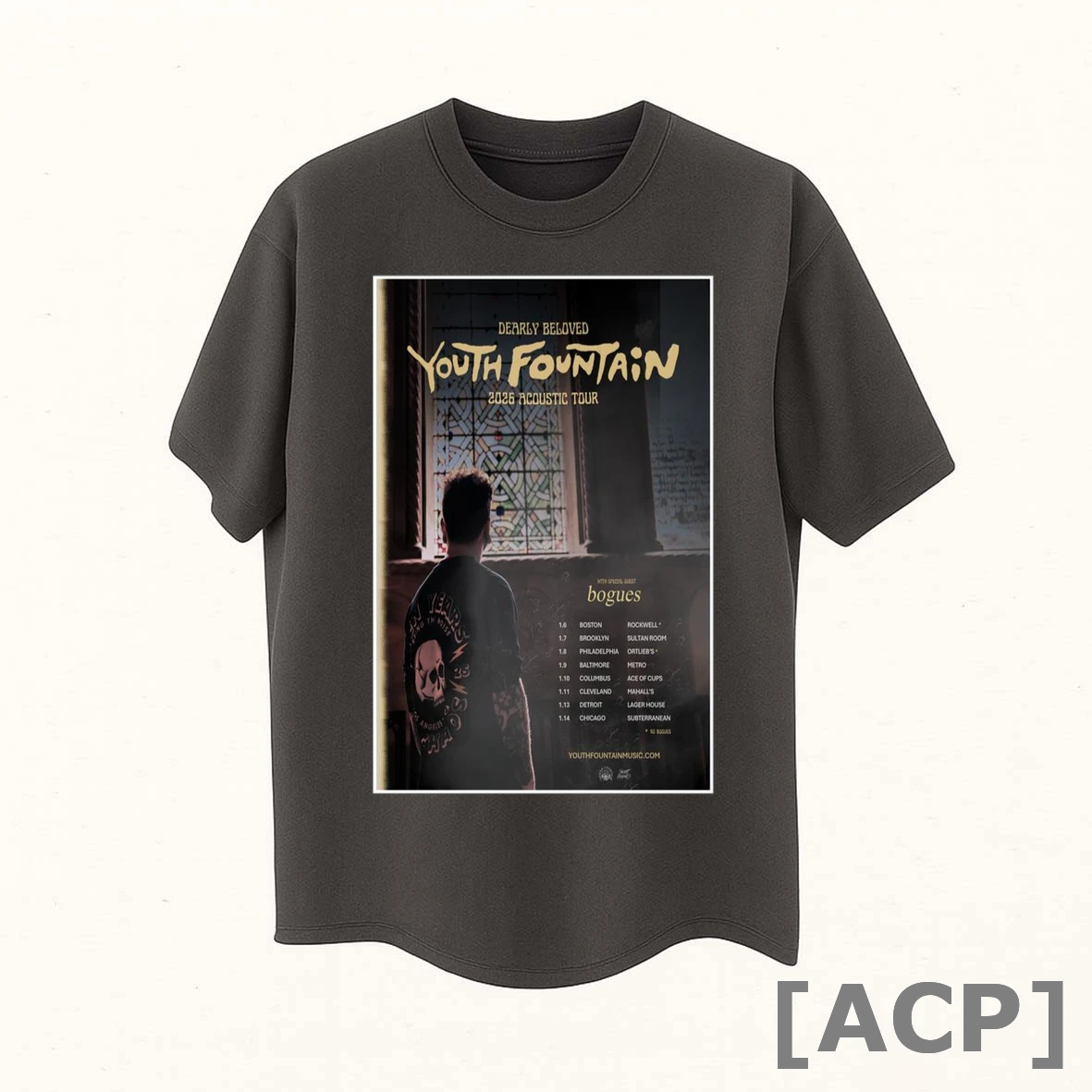 Official Youth Fountain Acoustic Tour 2026 T Shirt Sweater