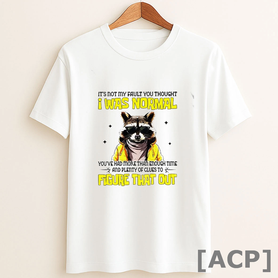 Original Raccoon Its Not My Fault You Thought I Was Normal Youve Had More Than Enough Time And Plenty Of Clues T Shirt Sweater