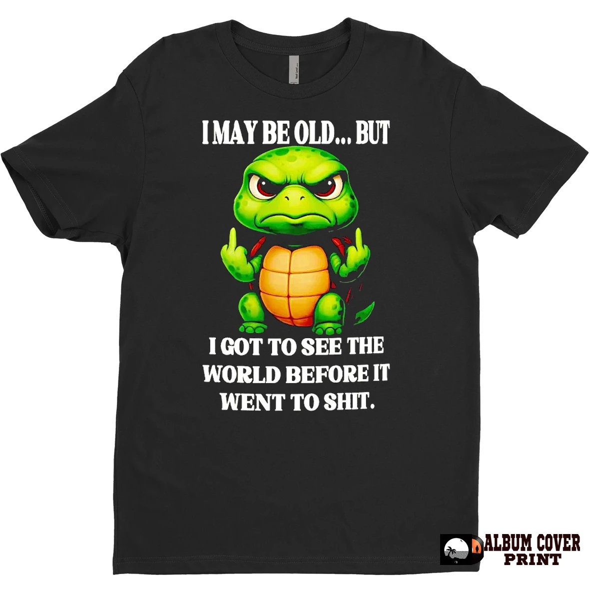 Original Turtle I May Be Old But I Got To See The World T Shirt Sweater
