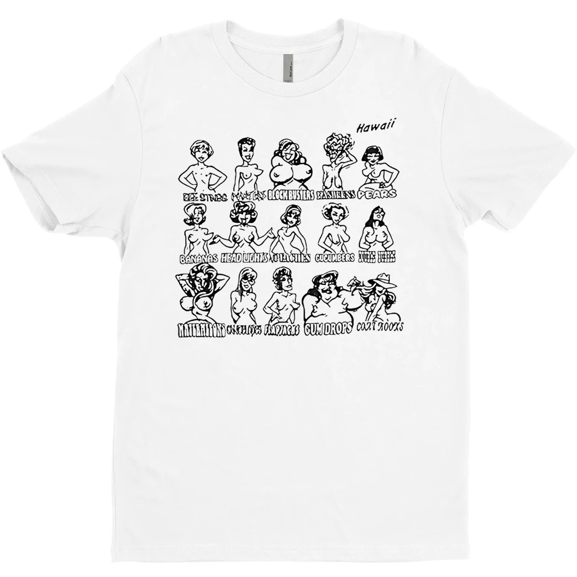 Original Hawaii Boobs Breasts Types T Shirt Sweater