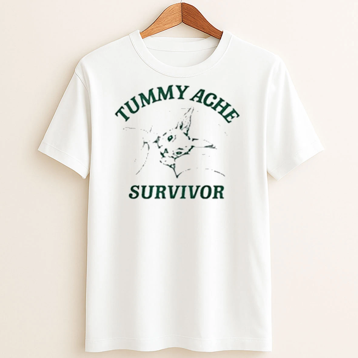 Original Tummy Ache Survivor T Shirt Sweater