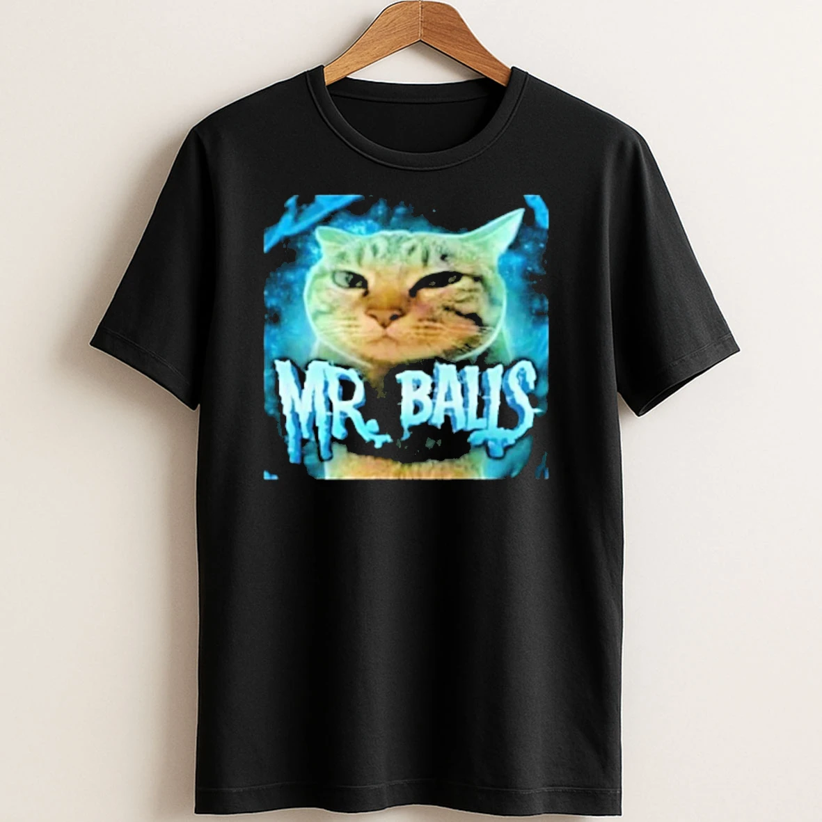 Original Mr Balls Cat T Shirt Sweater