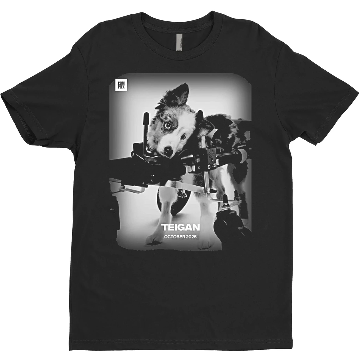 Original Rip Teigan Puppy Bowl Xxll Winner Passed Away T Shirt Sweater