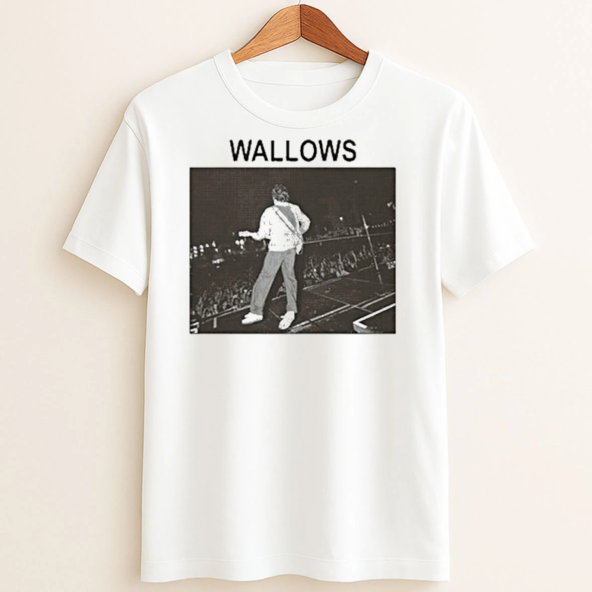 Original Wallows Stage Crowd Photo T Shirt Sweater
